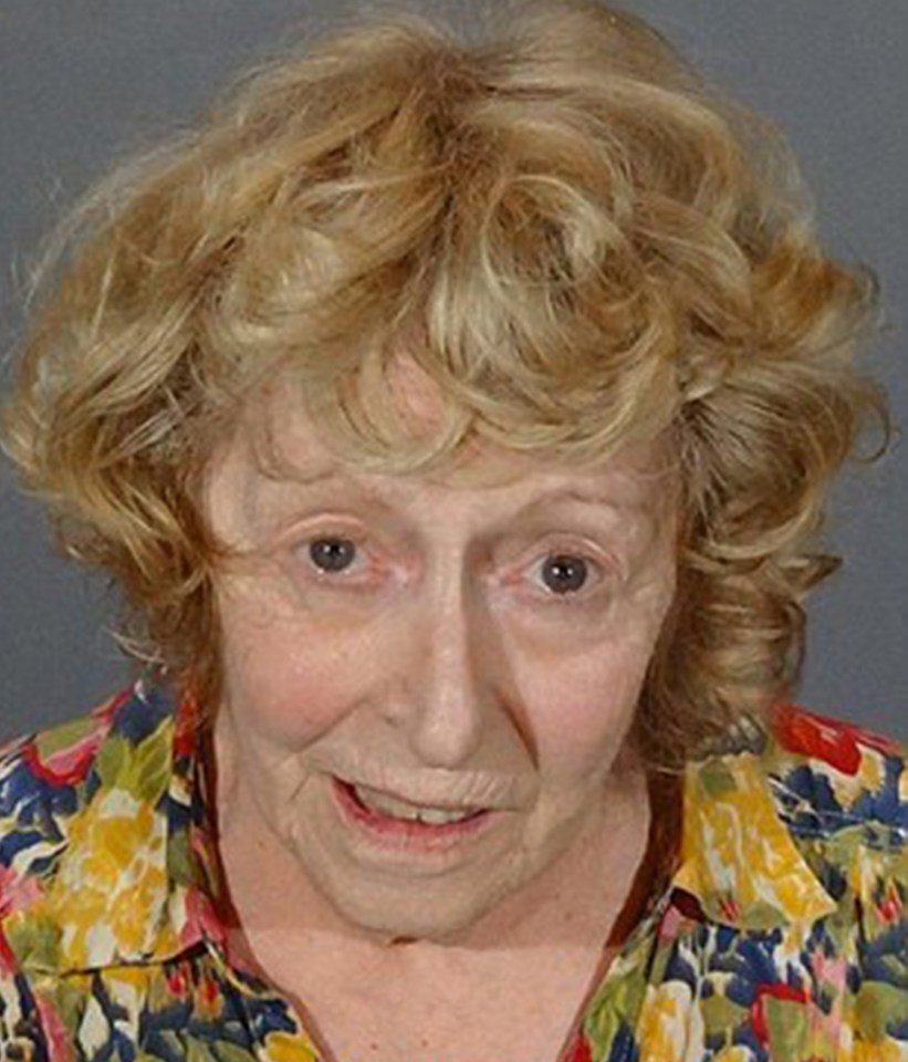 Donna Marie Higgins, allegedly struck Liam and his 15-year-old aunt, who is alive but 'seriously injured. She was arrested on felony drunk-driving charges