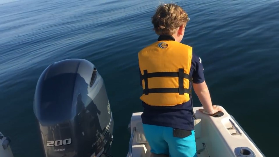 'Let's get out of here' ... Scared boy begs his dad to get them away from giant killer shark