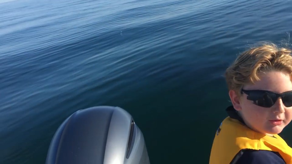 Panic ... Young boy yells 'Oh my God' as great white shark begins circling small boat
