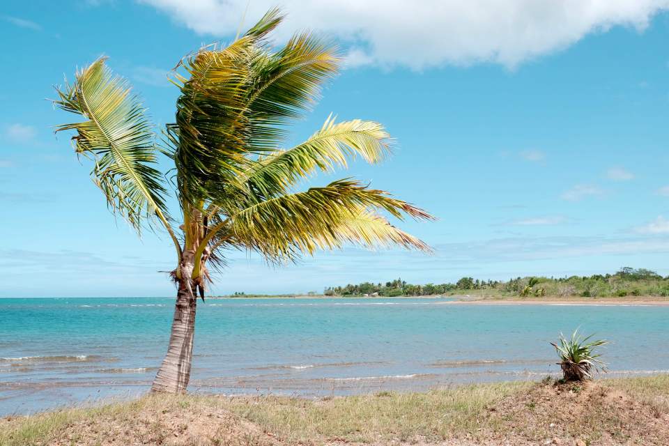 The man was kitesurfing in Koumac,. New Caledonia when he was attacked by a shark 