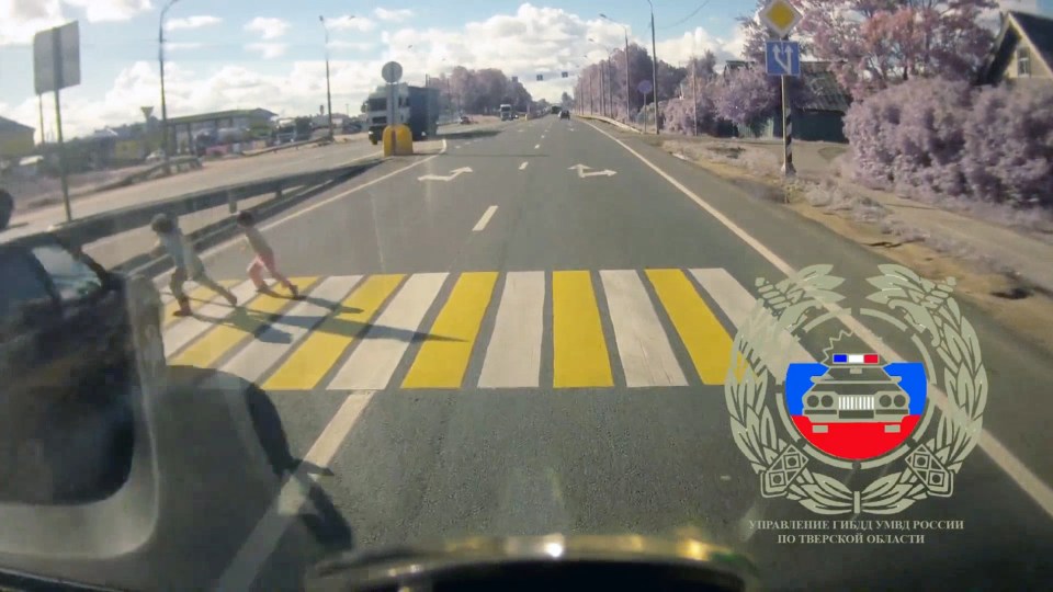 They quickly turn to run back to their mum when they see the speeding car but it is too late
