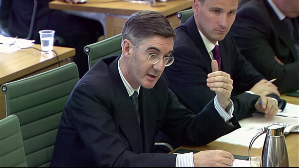 Tory MP Jacob Rees-Mogg accused Mr Carney of contributing to market fear with his grim predictions