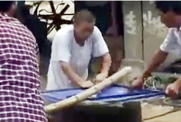 It takes three men to hold the lid down as the dog squirms in agony