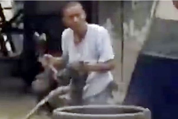 The dog is dragged towards the cauldron as it writhes in horror
