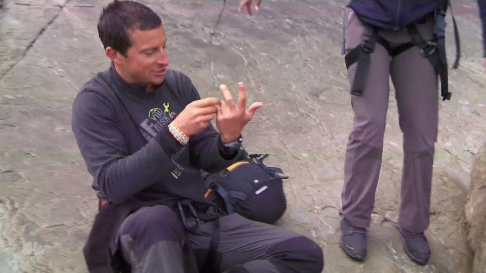 However Bear slipped and the jellyfish stung him during the fall