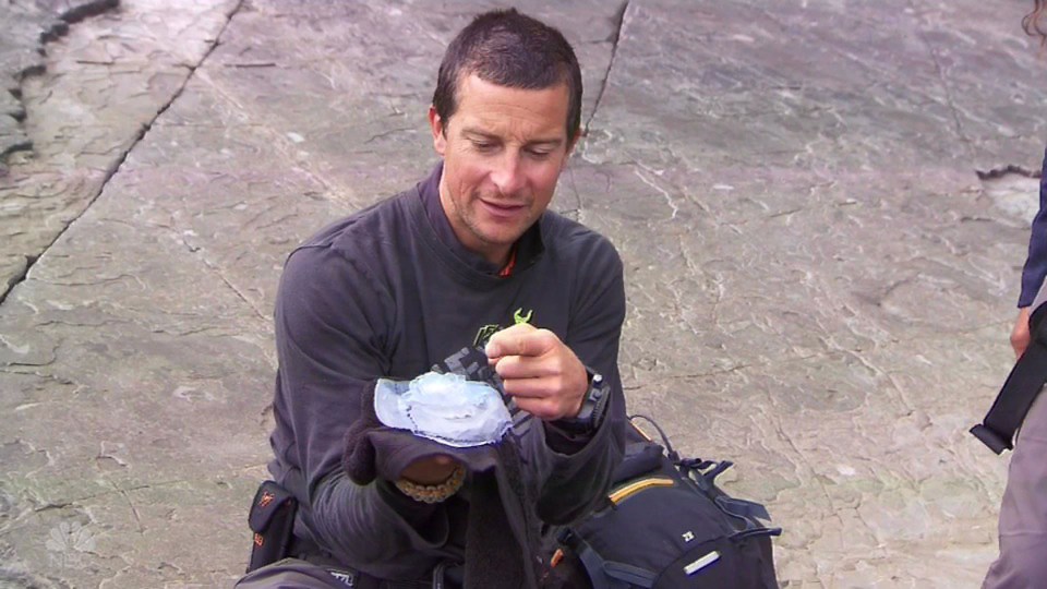 Moments before, Bear had been showing Mel the jellyfish they would be having for dinner