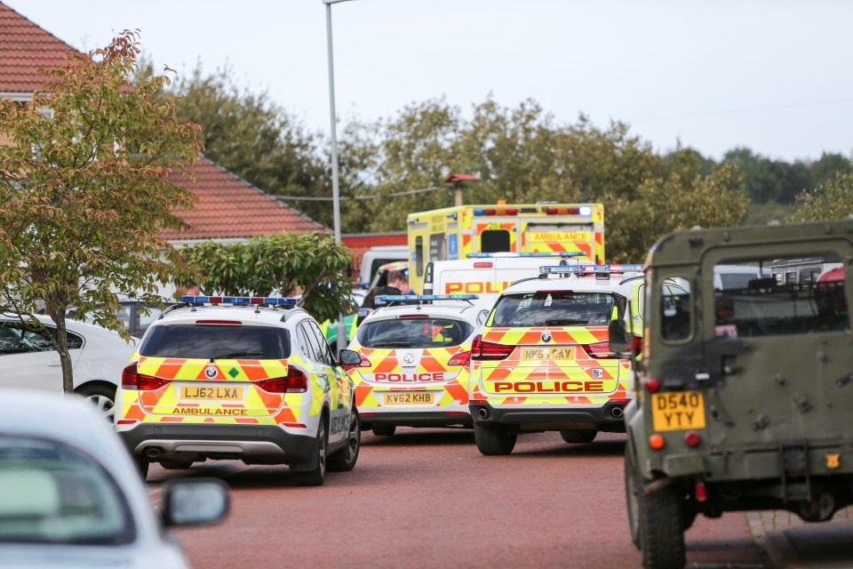 Emergency services rushed to the scene and the woman was airlifted to hospital
