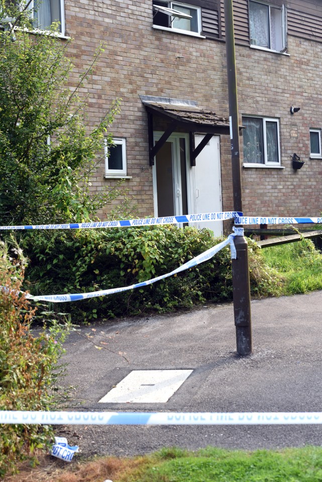 Neighbours have said that they heard an argument just five hours before the fatal shooting