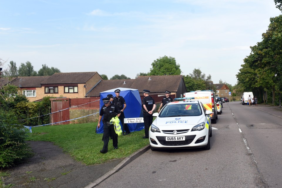 Police have not yet released the identity of the man who was shot in the early morning gun shooting
