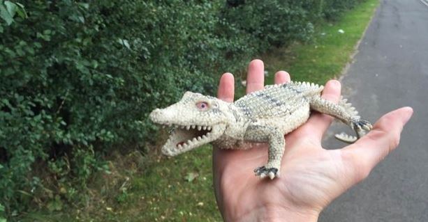 The crocodile toy was found on the side of the road, with RSPCA rushing to the scene