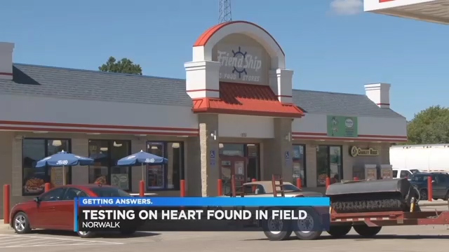human heart found