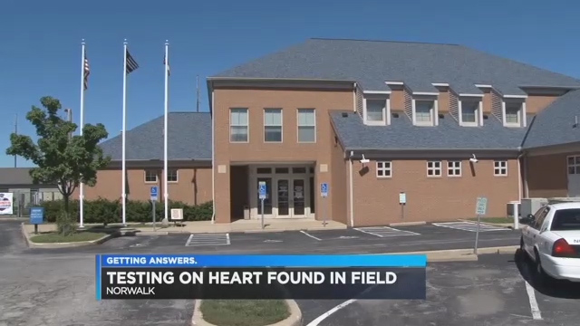human heart found