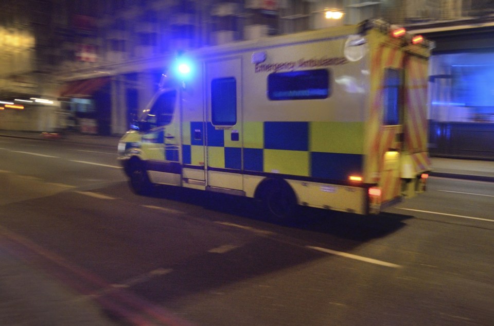 Paramedics pronounced Mr Suruianu dead at the scene 