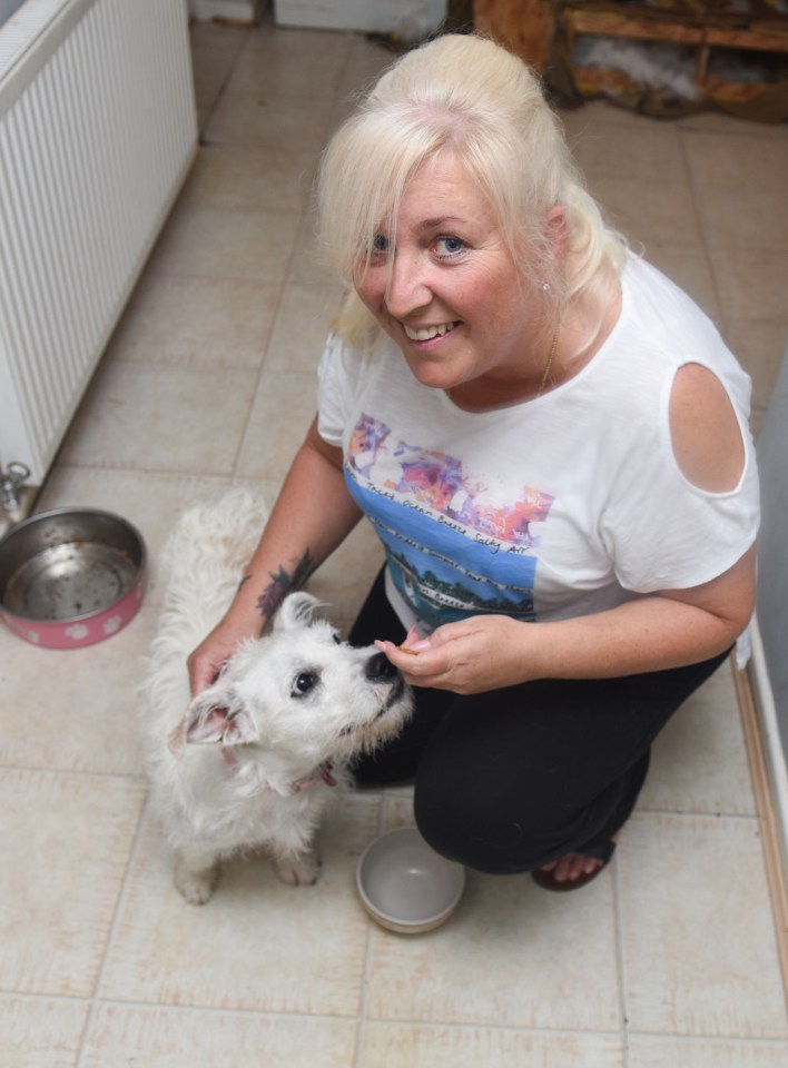 BRITAIN'S MOST DESTRUCTIVE DOG EATS ENTIRE SOFA