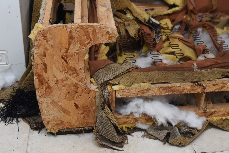 BRITAIN'S MOST DESTRUCTIVE DOG EATS ENTIRE SOFA