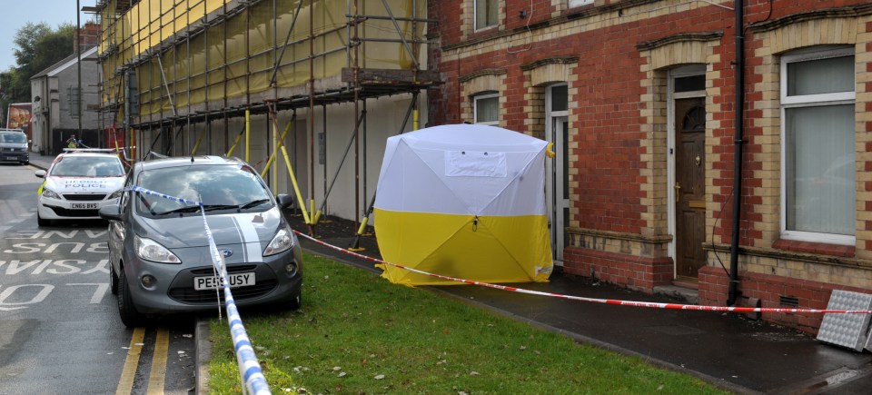 Police suspect Alison was killed on Sunday afternoon, as Swansea fans arrived to watch a match