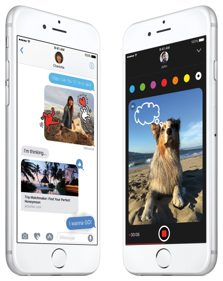 Dog's dinner ... Apple have been left red-faced after porn blunder
