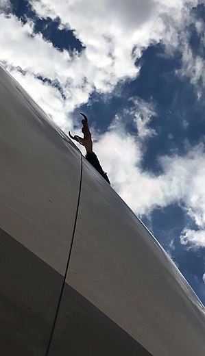 The endangered species talon could be seen sticking out from the planes fuselage 