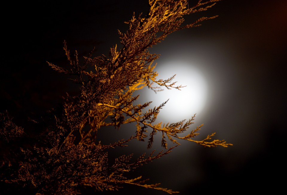 Observers in the UK, the rest of Europe and West Africa observed the eclipse as the moon rose