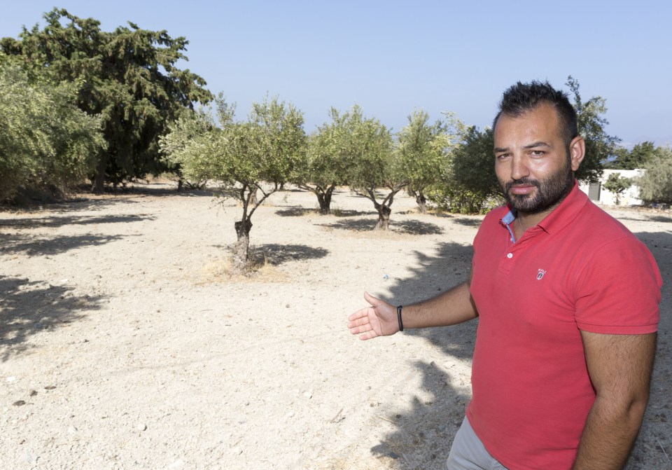 What lies beneath ... the dusty olive grove where cops fear missing Ben Needham was buried after being crushed by a digger