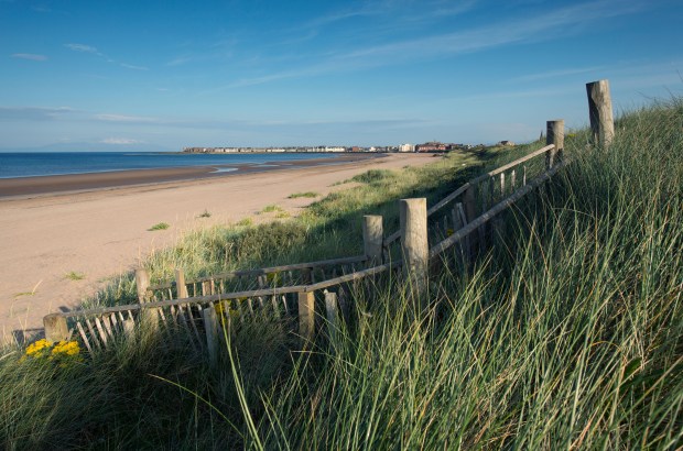 Access path through dunes to South Beach, Troon, Ayrshire.