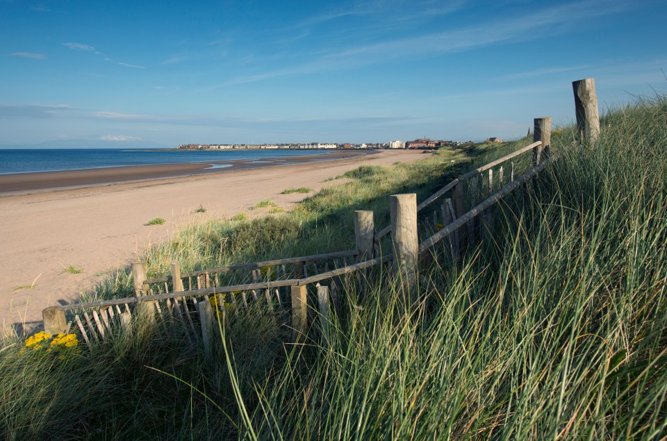 Access path through dunes to South Beach, Troon, Ayrshire.