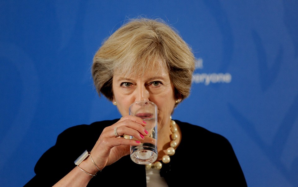 Theresa is right to keep her cool assured attitude about Brexit - EU chiefs will make sure the deal works for them and us