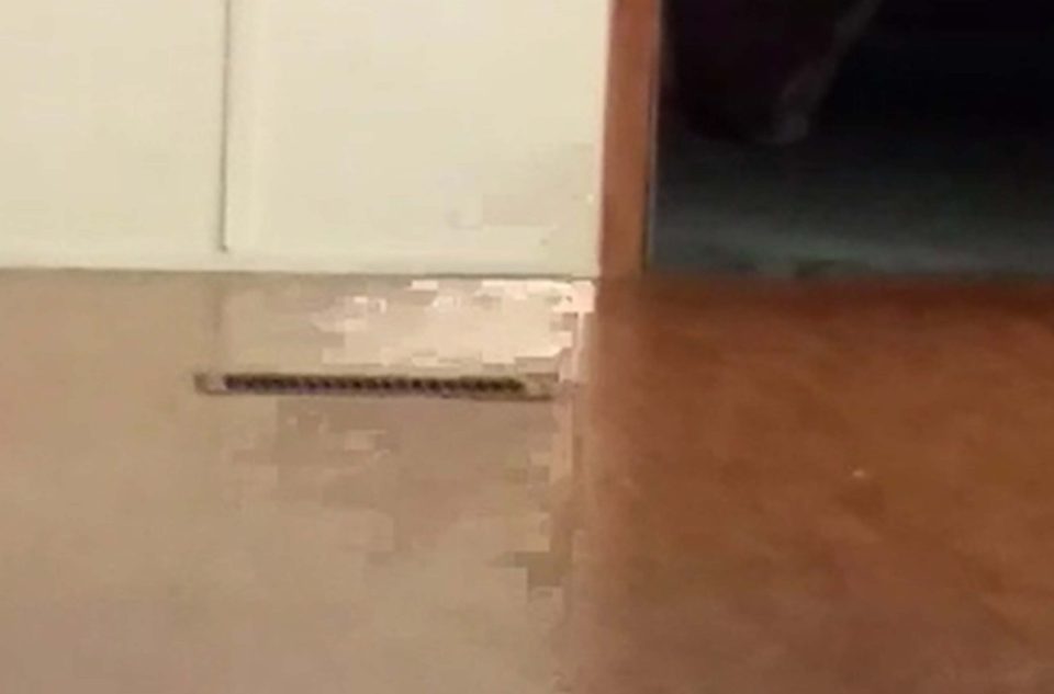 Close up of the mysterious apparition caught on camera