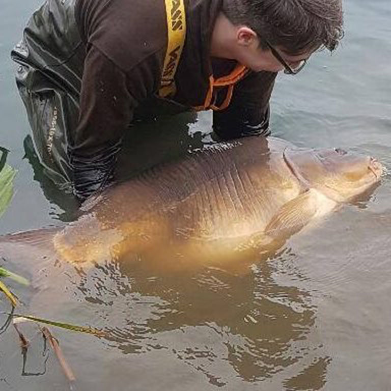 the catch has provoked fury as the beast had been "hand-reared" before being placed in the fishery weeks earlier when it was already a record-breaker