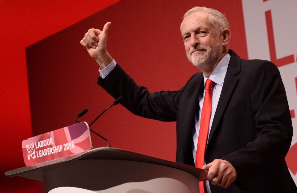 Socialist butterfly ... Jeremy Corbyn is a charming but “irresponsible” attention seeker, according to psychologist Donna Dawson