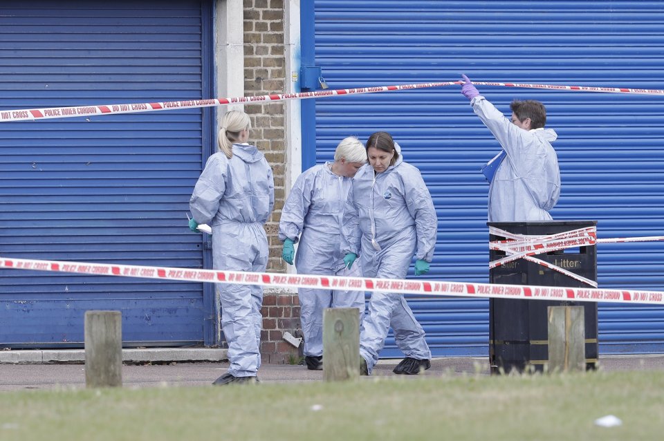 Murder investigation after man stabbed in Dagenham