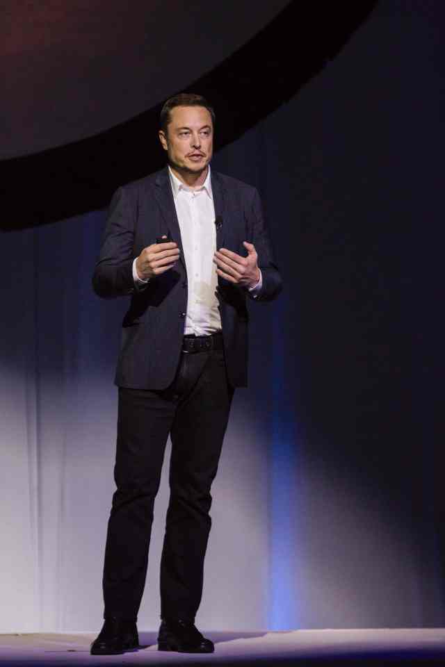Tesla Motors CEO Elon Musk speaks about