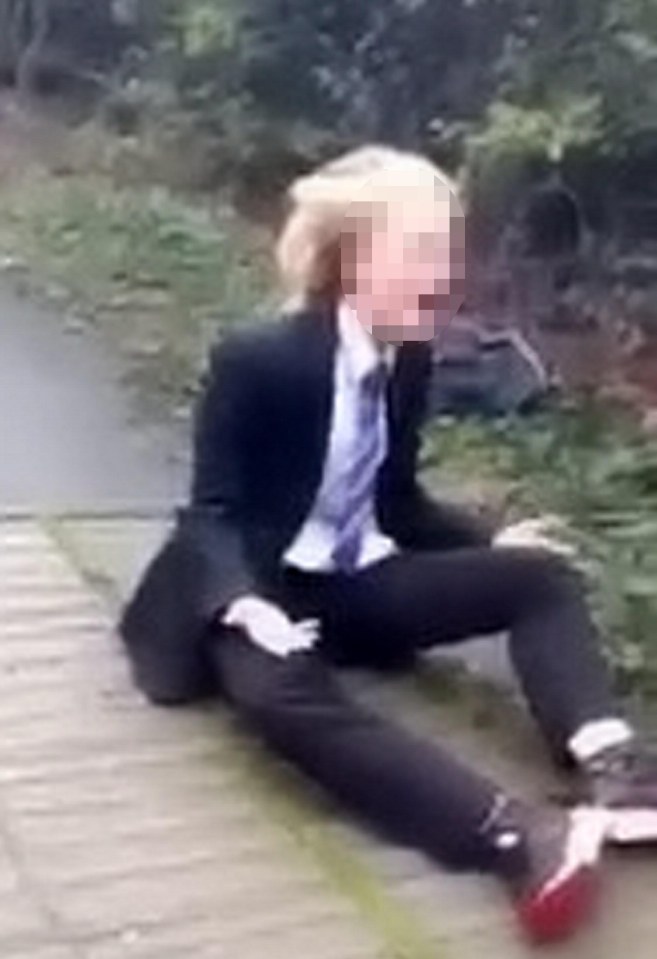 Bully video
