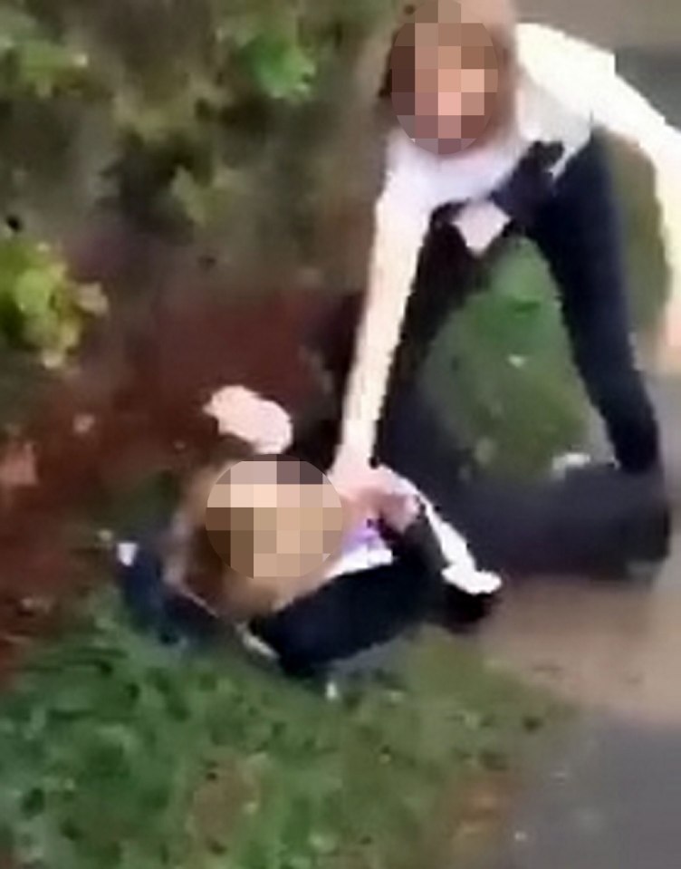 Bully video 