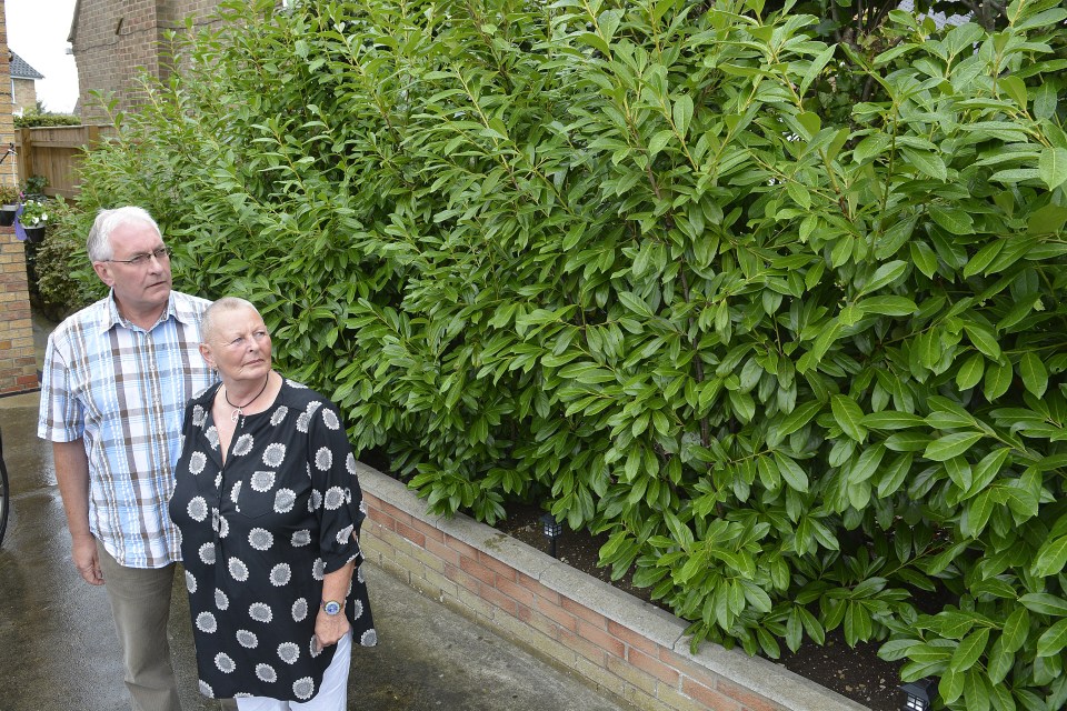 Expense ... Pair say they've spent £70,000 over four years on legal bills