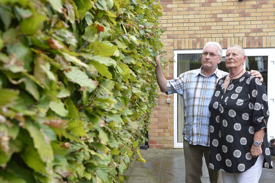 Hedge-row ... Steve and Sandra Marshall from have spent four years on a dispute over a boundary hedge 