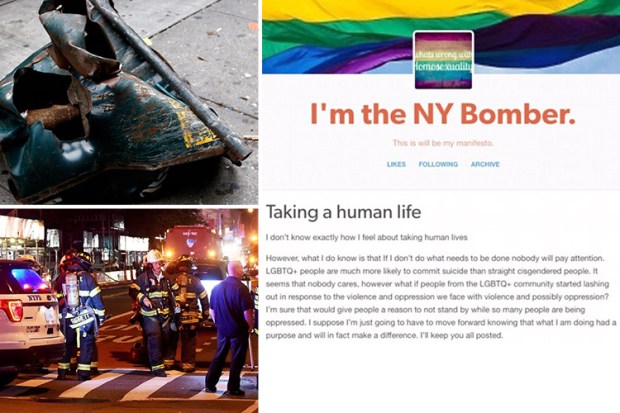 I'm the NY bomber
