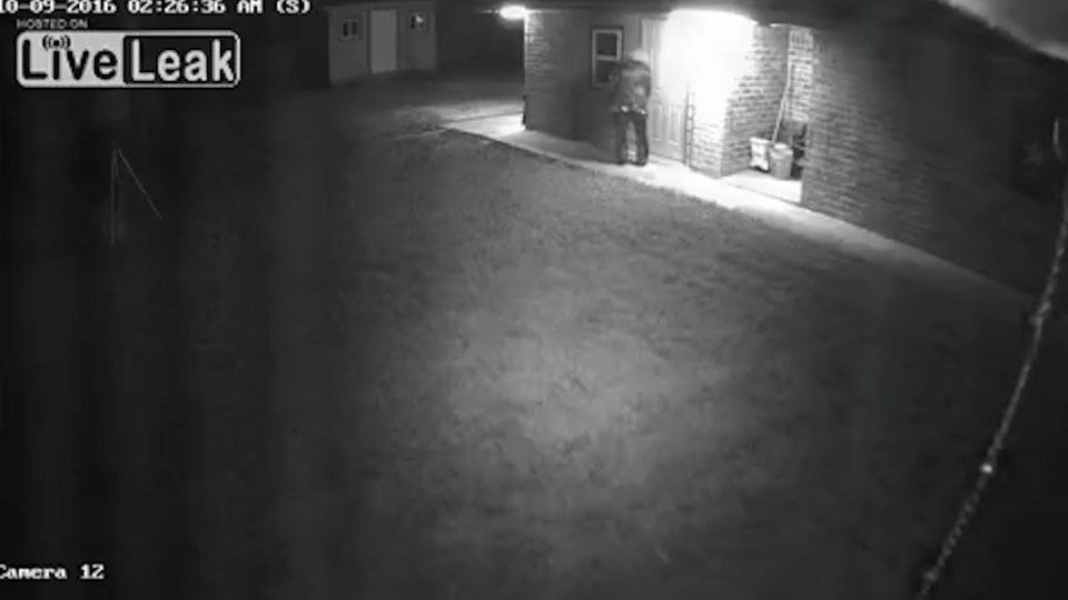 The clown can be seen prowling through the home, with the home owner saying he was sure he would have been dead if the clown had been able to get in