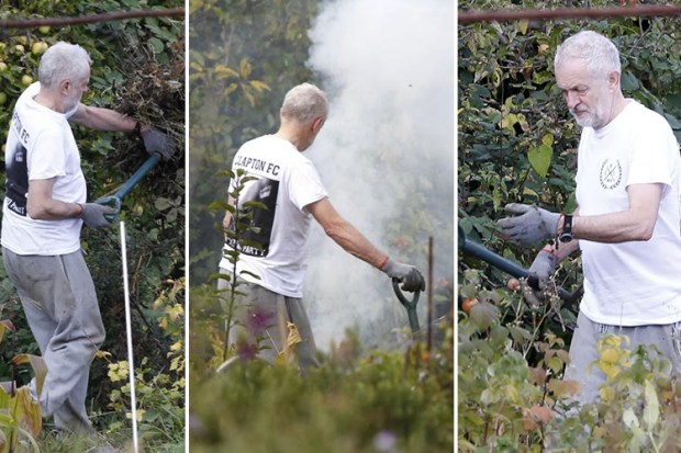 Jeremy Corbyn enjoyed himself on his allotment