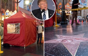 Trump’s Hollywood Walk of Fame star DESTROYED by pickeaxe-wielding hater disguised as a workman