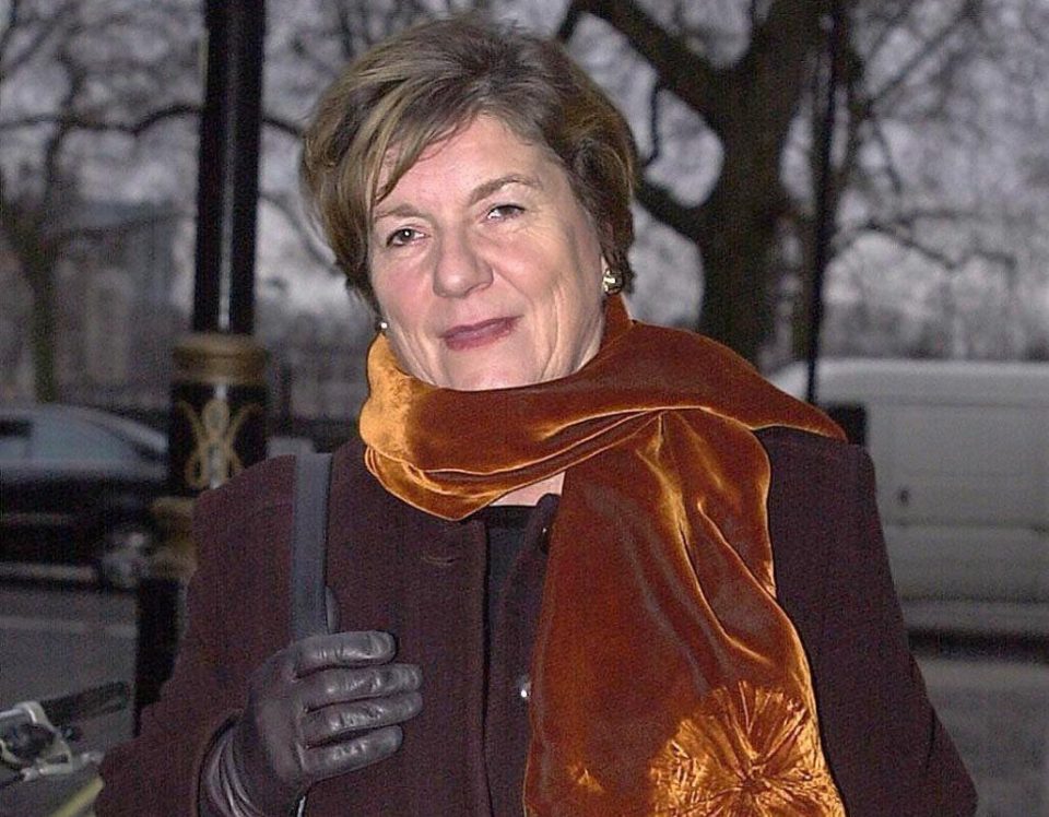 Baroness Jenny Tonge has been suspended by the Lib Dems after the event