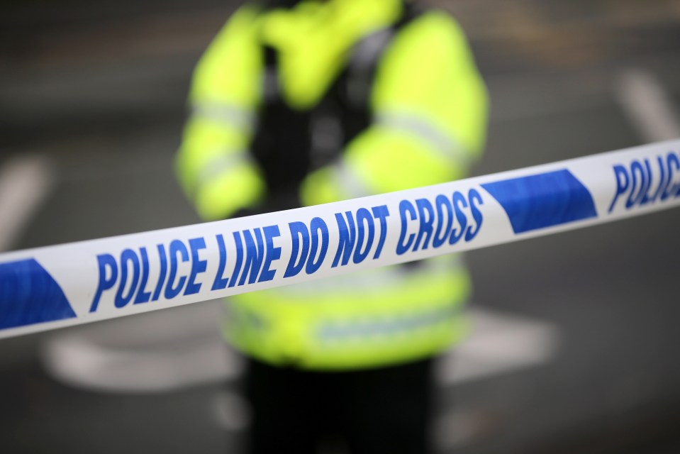 Police are urgently appealing for witnesses after a man was arrested in connection with the attacks 