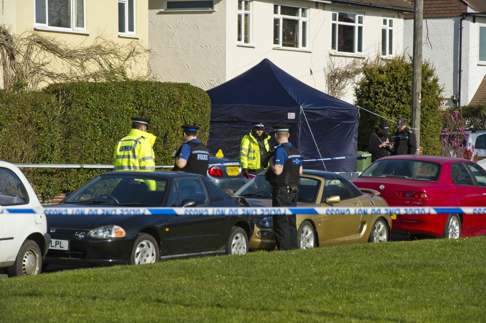 Mother's brutally murdered corpse found in garden