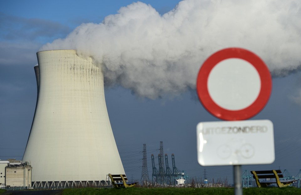 The news comes as it emerges the Brussels bombers considered targeting a Belgian nuclear power plant (file photo)