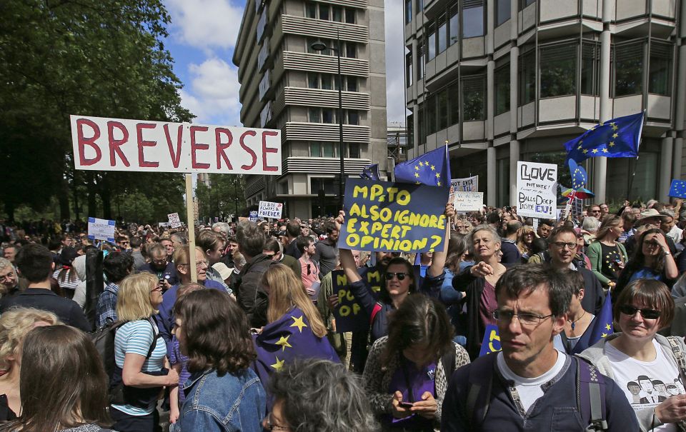Remain supporters in Park Lane in London