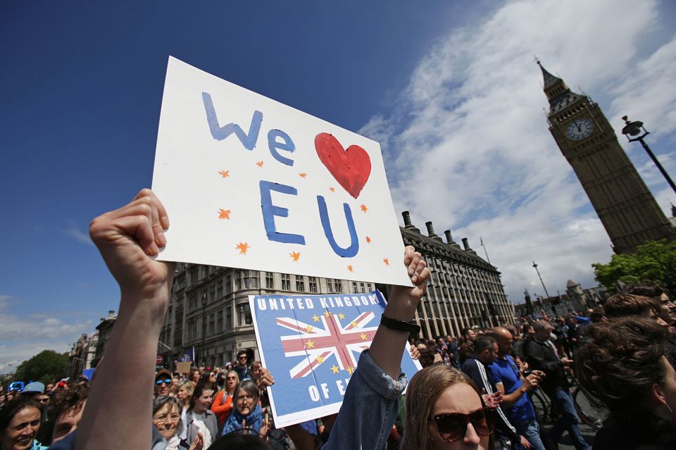Remain supporters 