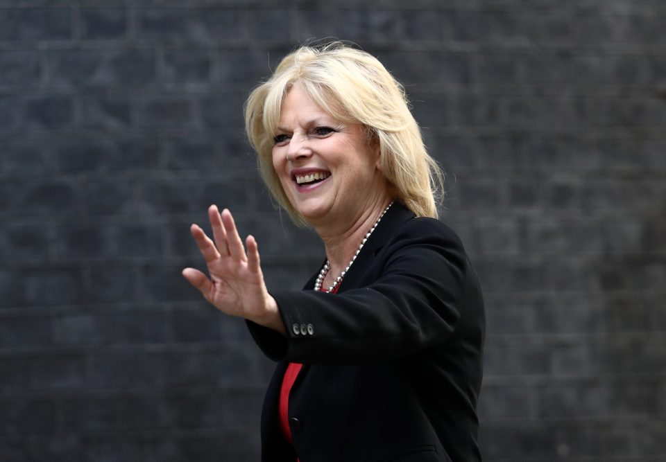 Ministers Attend David Cameron's Last Cabinet Meeting