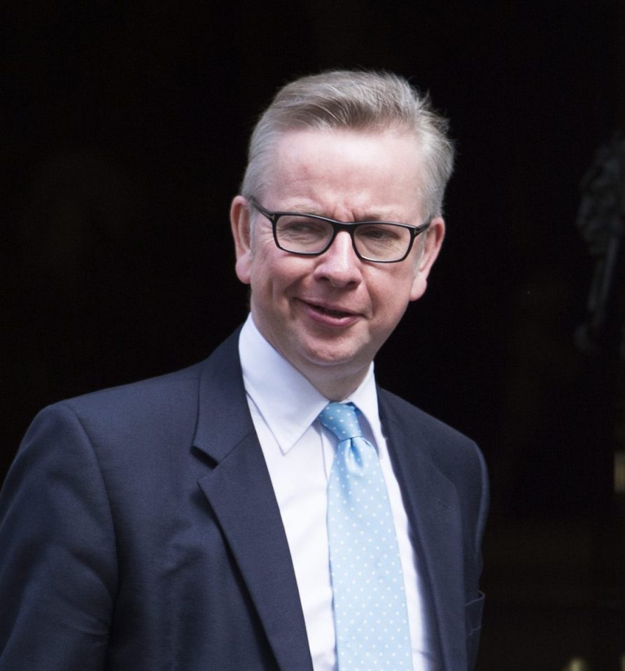 Michael Gove