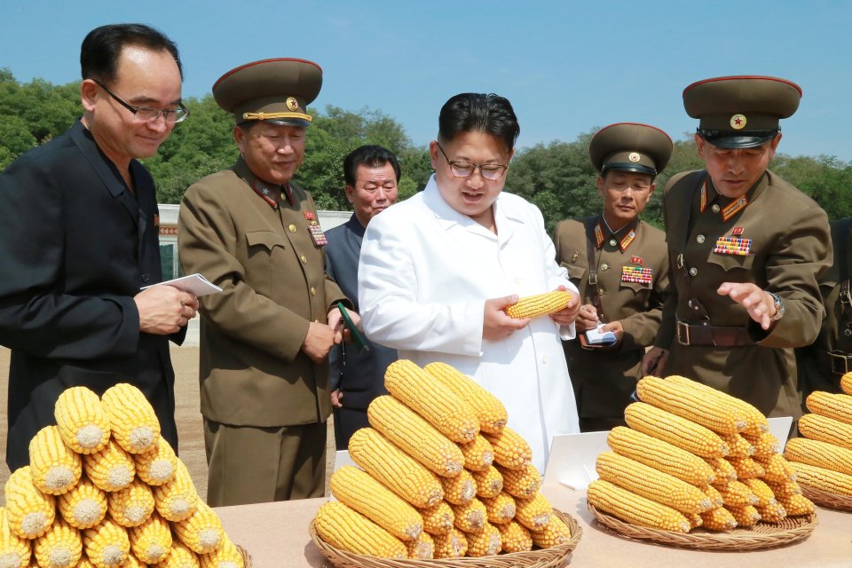 The cheese chomping tyrant's medicine man has reportedly defected to South Korea 