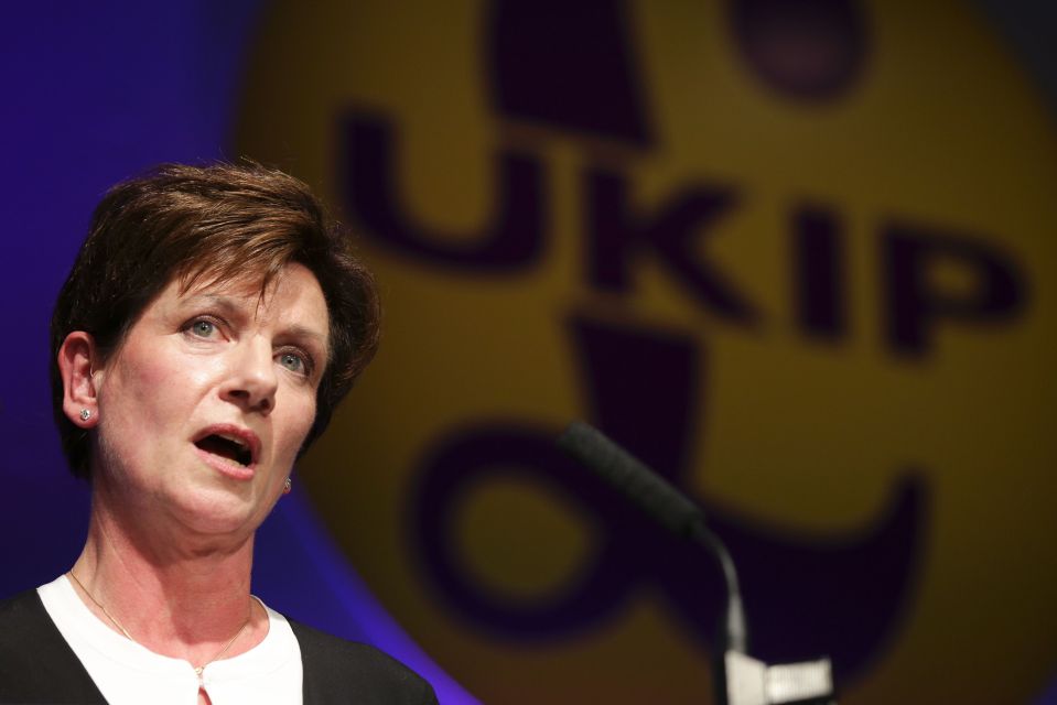 New leader of the anti-EU UK Independenc